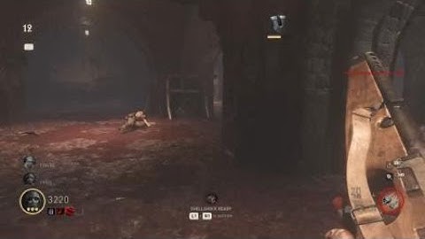 One of the better bugs in WW2 Zombies (COD WWII)