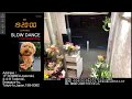 【Mon.06/08/2026 Livecamera at the florist】 スローダンス SLOWDANCE 等々力 尾山台 世田谷 Setagaya 東京 Tokyo 日本 Japan