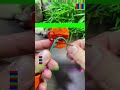 Simple DIY Wire Connection Hack You Need to Know! ⚡ #shorts