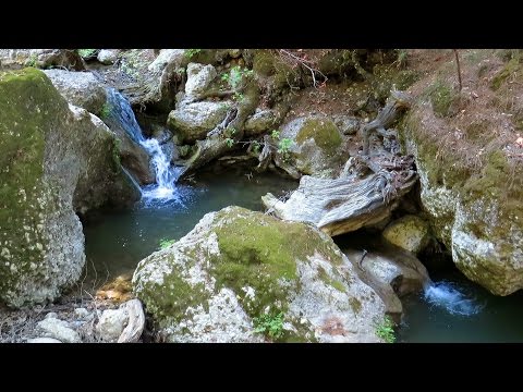 Video: Valea Fluturilor