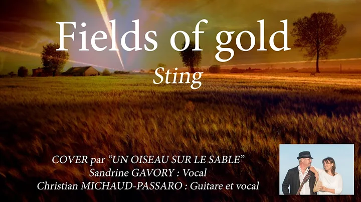 FIELDS OF GOLD COVER Christian MICHAUD PASSARO