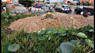 Amazing Full Video!! Start A New project by Bulldozer Komatsu D20P Pushing soil fast with 5tonTrucks