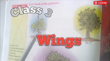 class 3 wings part 3 chapter 1 reading or activity slove page no -124