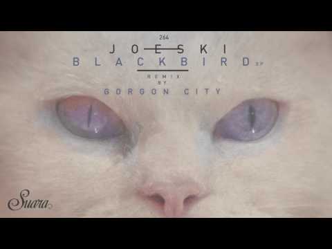 在 YouTube 上觀看「Joeski - Blackbird (Gorgon City Remix) [Suara]」