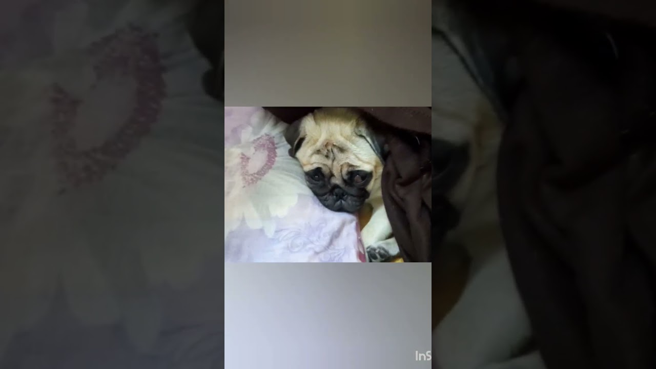 winter is knocking the door 🚪 🥶