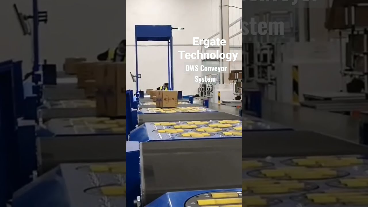 DWS Conveyor System For E Commerce