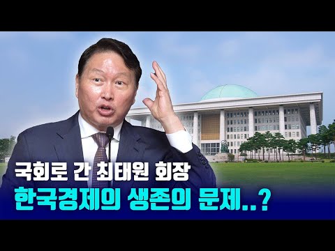 최태원 회장의 경제 제안|국회 미래산업포럼 연설