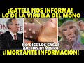 ¡DE ULTIMA HORA! "Hugo López Gatell informa todo de la VIRUELA de MONO" Martes 26 de julio de 2022