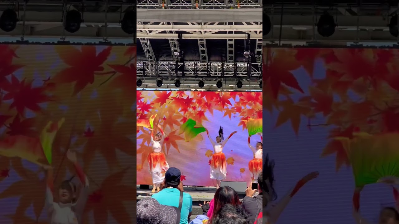 Chinese Cultural Event in Toronto 2/2