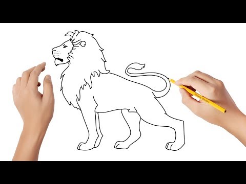 Vidéo: Comment Faire Un Lion