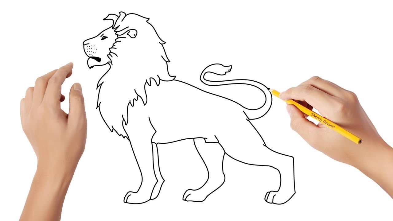 Comment Dessiner Un Lion Youtube