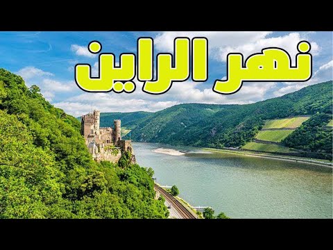 نهر الراين