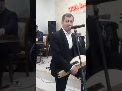 Mamed Mamedov Dambur | Faytoncuyam At Qara | Tambur  Havasi (2023) Zaqatala Toyu