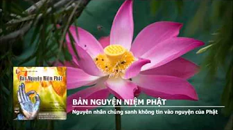 Nguyên nhân chúng sanh không tin vào nguyện của Phật 
