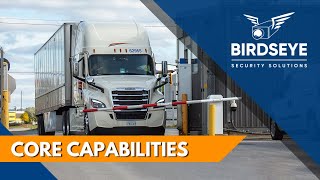 Birdseye's Core Capabilities and Services