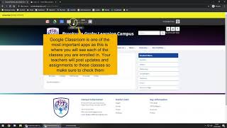 Guide for accessing the BGLC system