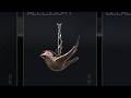 Black Ops 7 - "Peaceful" Charm