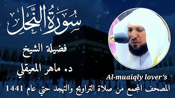 16-سورة النحل  Surat An-Nahl    المصحف المجمع من صلاة التراويح والتهجد حتي عام 1441 ماهر المعيقلي