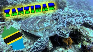 IMPRESSIVE Diving on Zanzibar