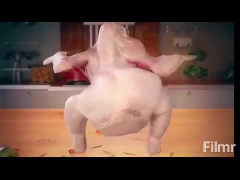 يا ليلي يا ليل بلطي و حمود 