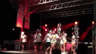 Delta Tau Delta (ΔΤΔ) and Phi Mu (ΦΜ) 2011 Lip Sync