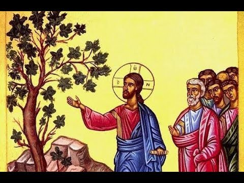 healing touch 2018.08.05. Healing the Demon Possessed Boy. Sermon by Priest Alexander Resnikoff