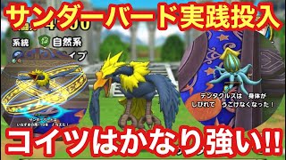【ドラゴンクエストタクト】サンダーバード完凸レベルMAXになったので実践投入！コイツはかなり優秀で強い！（闘技場実践編）