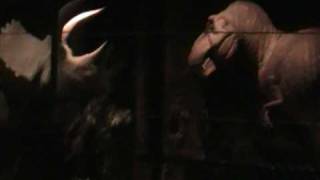 The Dinosaur Show At The Ogden Dinosaur Park