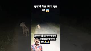 🐶 "कुत्ते को रात में दिखा भूत 👻 | Dog Saw Ghost at Night 😱 | Real Horror Moment" #shorts