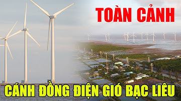 Cánh đồng điện gió lớn nhất Việt Nam tại Bạc Liêu // Bạc Liêu Quê Hương Tôi