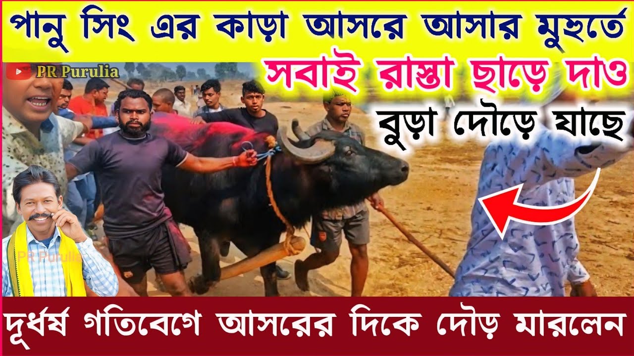 পানু সিং বুড়া কাড়া আসরের দিকে দৌড় মারলেন★সবাই রাস্তা ছাড়ে দাও★আজ মানবেক নাই দাদা★panu sing kara