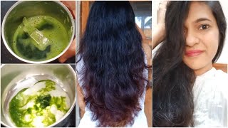 Curry Leaves hair Mask For Long Dandruff free hair Hair Mask for Hair Growth Prevent Hair Fall