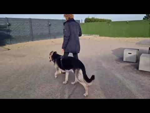 Nicolette \u0026 Bas