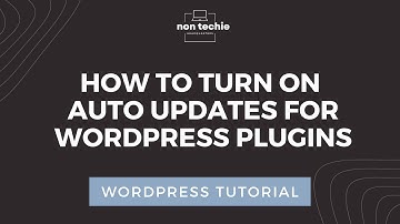 How to turn on Auto Update on Wordpress Plugins | Automating WordPress Updates