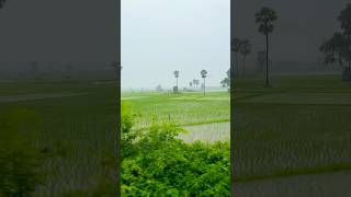 Rainy Train Ride Nature’s Calming View #ytshorts #travel #shorts #rain #train