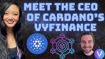 VyFinance: The DEX Made for Cardano! Interview with CEO Steven Ward
