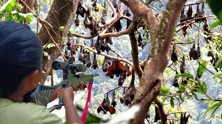 hunting full uklik not missing a single shot will not miss in the spot millions of bats 'viral gi...