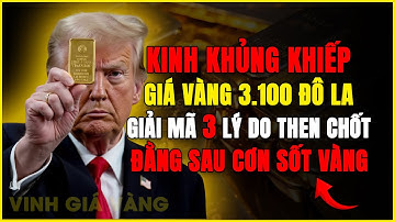 KHỦNG KHIẾP GIÁ VÀNG THẾ GIỚI Chạm Ngưỡng 3.100 USD! 3 LÝ DO THEN CHỐT Đằng Sau Cơn Sốt Vàng!
