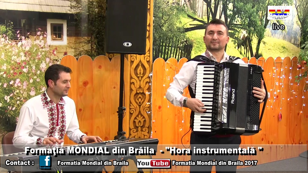 FORMATII DE NUNTI DIN FOCSANI 2017. Hora instrumentala aordeon