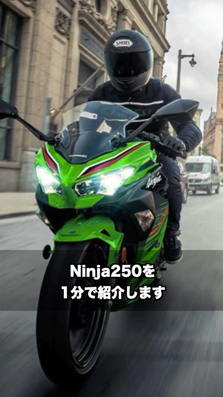 のぴのぴ 250 Product Detail :: Kawasaki