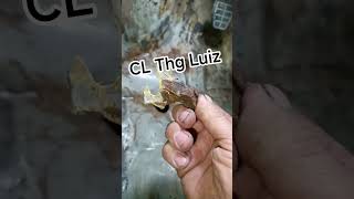 manta asfáltica no assoalho vedação com kpo tratamento anti ferrugem