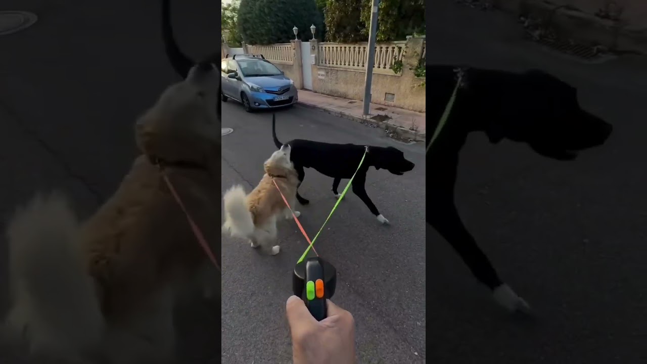 Gadget Channel😍 New Gadgets, Kitchen tools. New smart home appliances launched this year