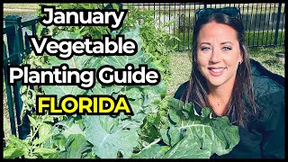 25 Crops Every Florida Gardener Should Start in January