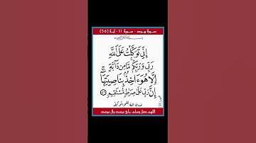 سورة هود - سورة 11 - اية (56)