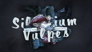 Silentium Vulpes: авторский кинематограф
