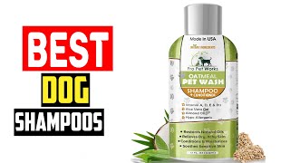 ✅Top 5 Best Dog Shampoos in Every Category, from Waterless to Medicated by The Pets Products 27 views 3 weeks ago 4 minutes, 57 seconds