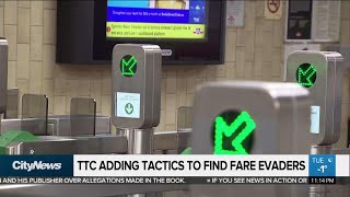 TTC steps up efforts to catch fare evaders