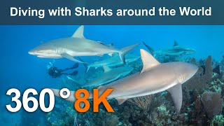 Diving with Sharks around the World. Underwater 8K 360 video. screenshot 5