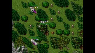 TIBIA DECEPTCONS PK-2