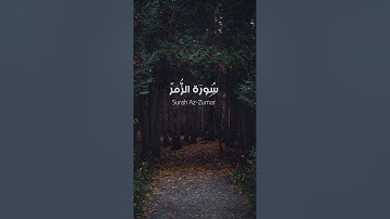 لأول مره تُنشر ( سورة الزمر كاملة ) - من تراويح ١٤٣١ || للقارئ أحمد العبيد